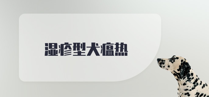 湿疹型犬瘟热症状表现