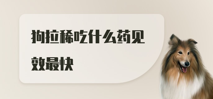 狗拉稀吃什么药见效最快