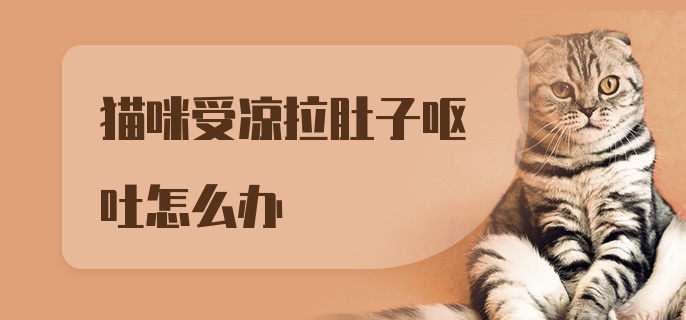 猫咪受凉拉肚子呕吐怎么办