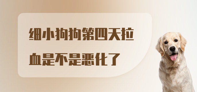 细小狗狗第四天拉血是不是恶化了