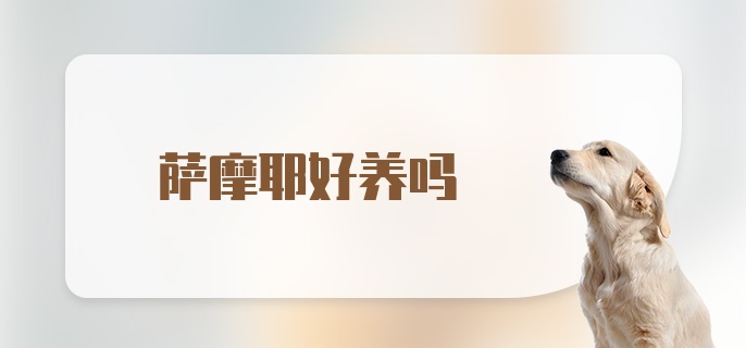 萨摩耶好养吗