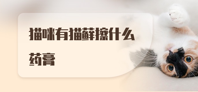 猫咪有猫藓擦什么药膏