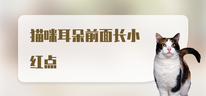 猫咪耳朵前面长小红点是怎么回事