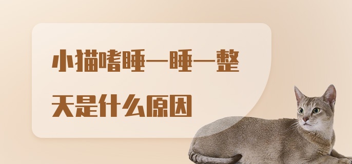 小猫嗜睡一睡一整天是什么原因