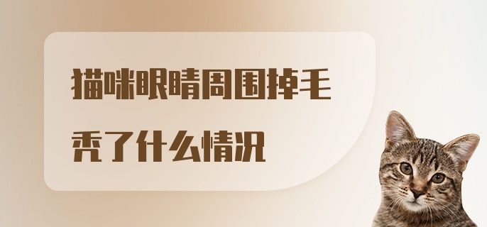 猫咪眼睛周围掉毛秃了什么情况