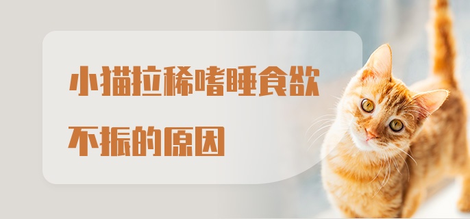 小猫拉稀嗜睡食欲不振的原因